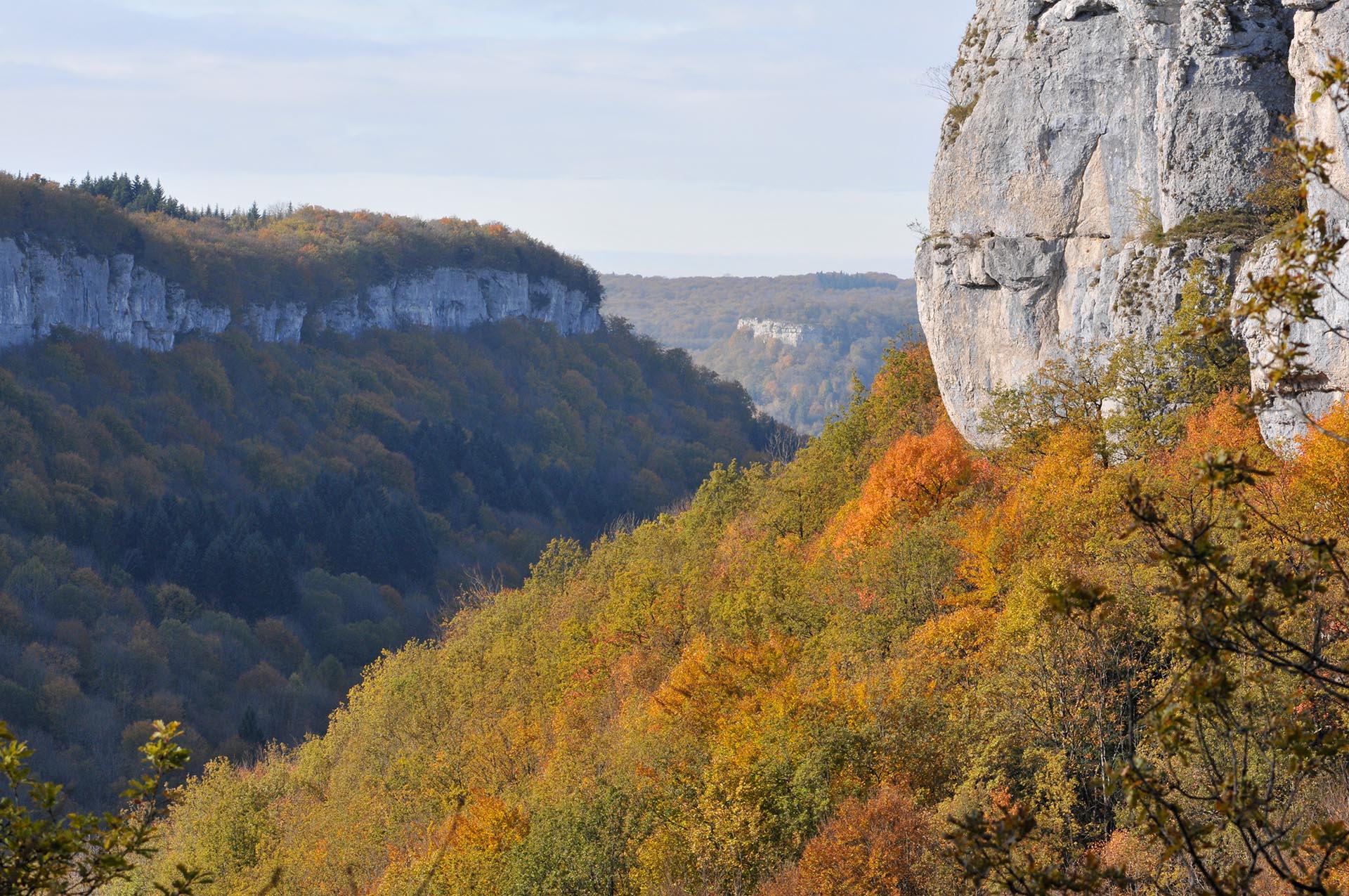 40 bougies pour la réserve naturelle du ravin de Valbois ! CEN