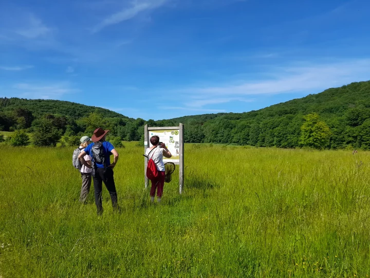 Personnes lisant un panneau d'information sur un site naturel