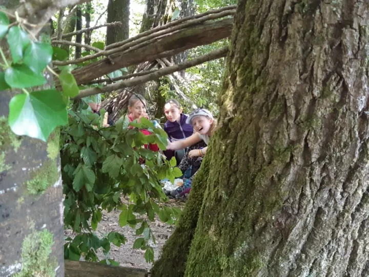 Enfants construisant une cabane dans la forêt