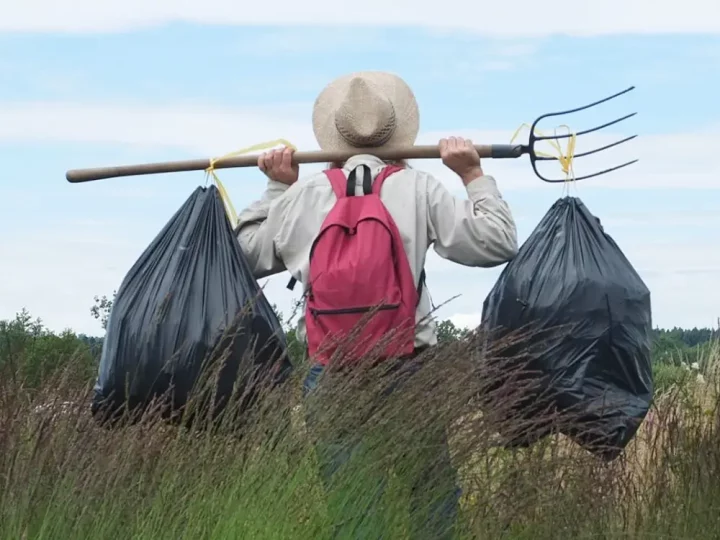 Homme portant des sacs remplis de solidages à l'aide d'un fourche