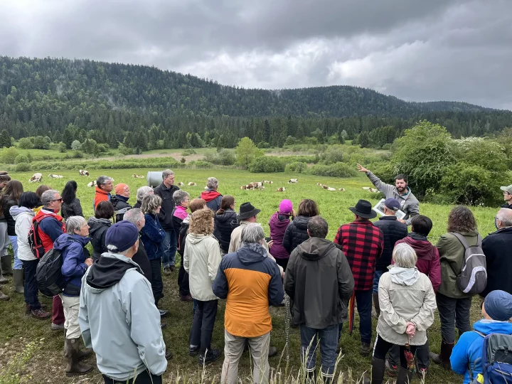 Pierre Durlet, chargé de missions tourbières au Parc naturel régional du Haut-Jura, revient sur les travaux de reméandrement du ruisseau réalisés en 2014.