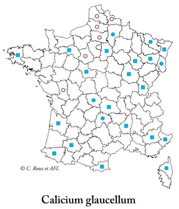 Carte de répartition de Calicium glaucellum © C. Roux et AFL