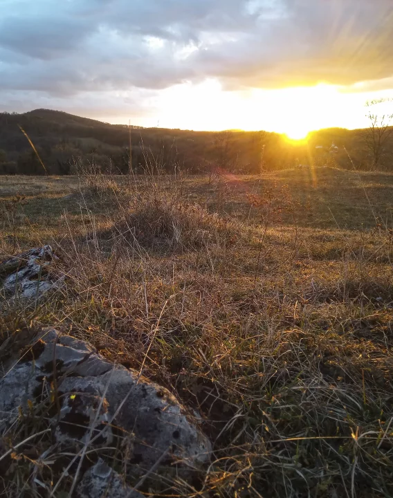 Site de la La Levée, pelouse sèche, à Voillans ©G. Halliez