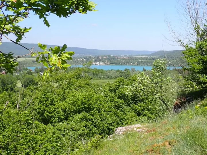 ©Hugo Bourque - Conservatoire d'espaces naturels de Franche-Comté