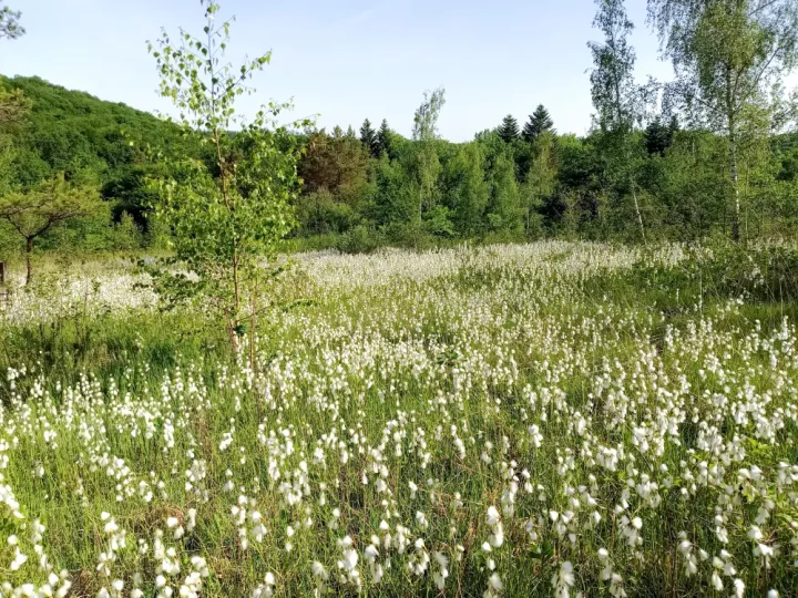 Réserve naturelle régionale du vallon de Fontenelay ©Conservatoire d'espaces naturels de Franche-Comté