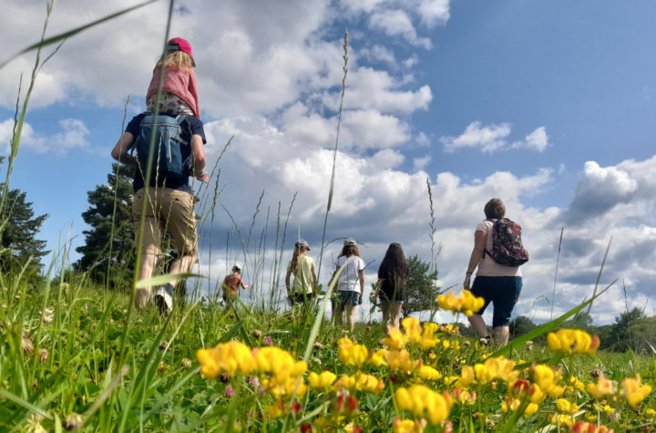 © Clémence Lapprand - Conservatoire d'espaces naturels de Franche-Comté
