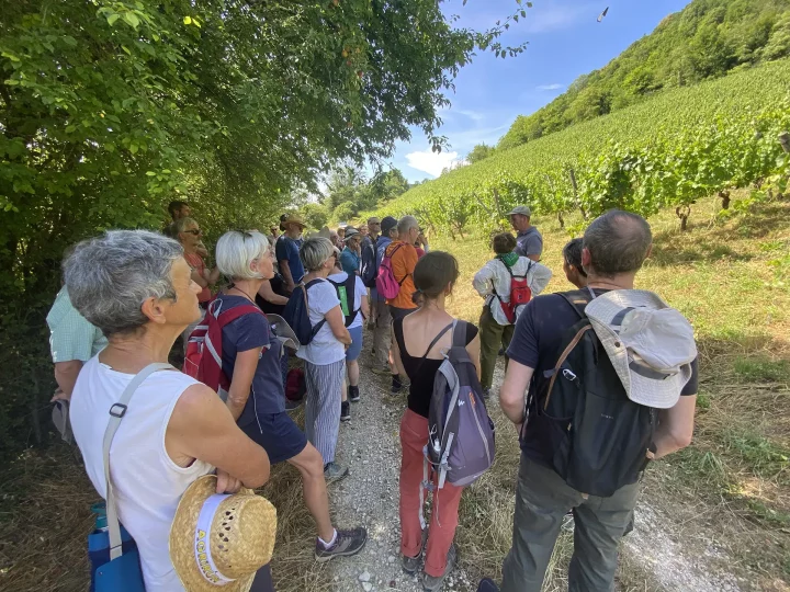 Temps fort adhérents sur les coteaux de Vuillafans ©Nicolas Pettini • CEN Franche‑Comté