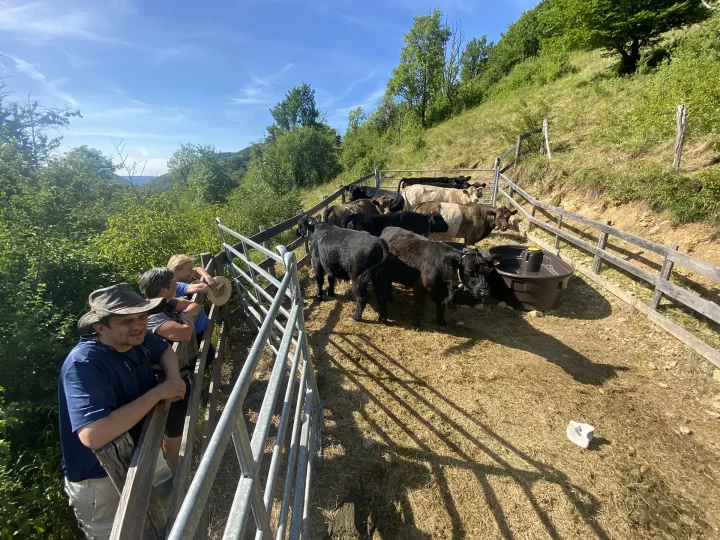 Temps fort adhérents sur les coteaux de Vuillafans ©Nicolas Pettini • CEN Franche‑Comté