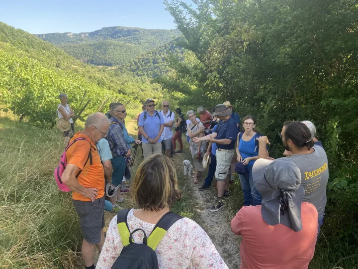 Temps fort adhérents sur les coteaux de Vuillafans ©Nicolas Pettini • CEN Franche‑Comté