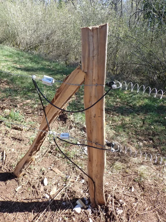 Le choix s’est porté sur une clôture à deux fils lisses électriques high-tensile.