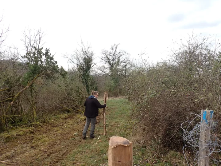 Alice, chargée de missions au Conservatoire, en pleine vérification !